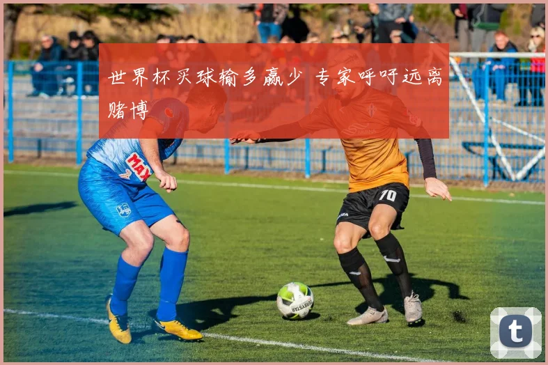 世界杯买球输多赢少 专家呼吁远离赌博