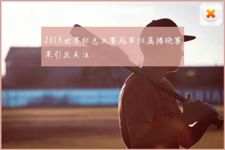 2018世界杯总决赛冠军归属揭晓赛果引发关注