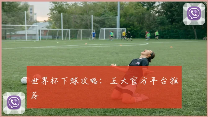 世界杯下球攻略：五大官方平台推荐