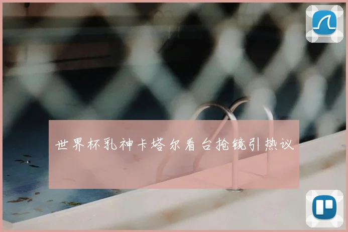 世界杯乳神卡塔尔看台抢镜引热议