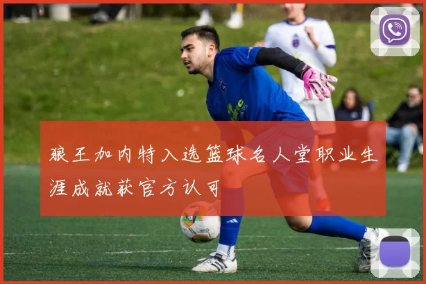 狼王加内特入选篮球名人堂职业生涯成就获官方认可