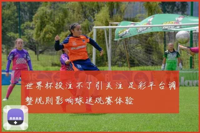 世界杯投注不了引关注 足彩平台调整规则影响球迷观赛体验